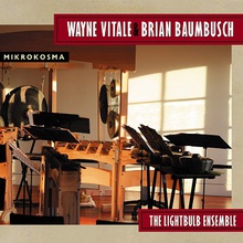 The Lightbulb Ensemble - Mikrokosma