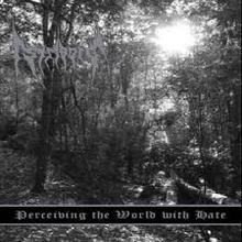 Perceiving The World With Hate