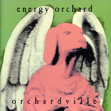 Orchardville (Live) (Vinyl) CD2