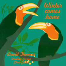 Winter Comes Home (Vinyl)