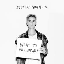 What Do You Mean? (CDS)