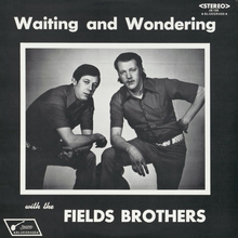 Waiting And Wondering (Vinyl)