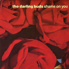 Shame On You (EP) (Vinyl)