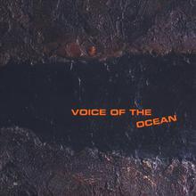 Voice Of The Ocean