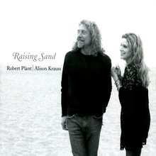 Raising Sand (With Alison Krauss)