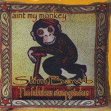 Ain't My Monkey