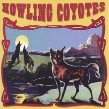 Howling Coyotes