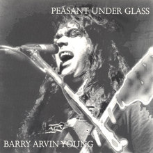 Peasant Under Glass