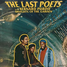 Delights Of The Garden (Vinyl)
