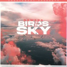 Birds In The Sky (CDS)