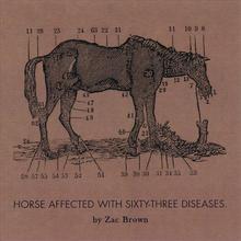Ride The Sick Horse