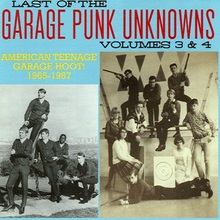 Last Of The Garage Punk Unknowns Vol. 3 & 4