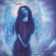 Question The Answer (EP)
