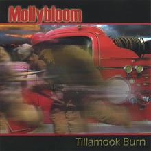 Tillamook Burn