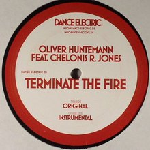 Terminate The Fire (VLS)