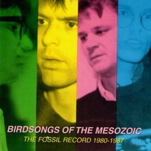 The Fossil Record 1980-1987