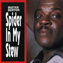 Spider In My Stew (Reissued 1994)