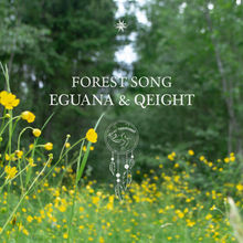 Forest Song