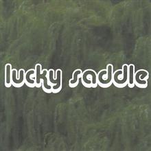 Lucky Saddle
