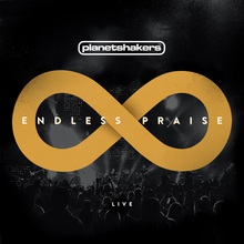 Endless Praise (Live)