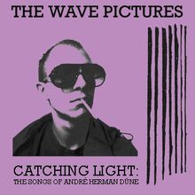 Catching Light: The Songs Of André Herman Düne