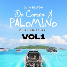 De Camino A Palomino Vol. 1