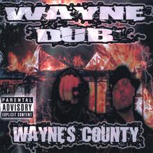 Wayne's County