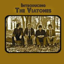 Introducing The Viatones