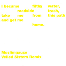 Veiled Sisters Remix
