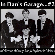In Dan's Garage Vol. 2 (Vinyl)