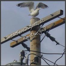 Electric Gull