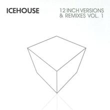 12 Inch Versions And Remixes Vol. 1 CD1