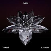 Slasherr (Remix) (CDS)