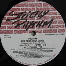 Rise From Your Grave (VLS)