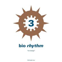 Bio Rhythm (Remastered "808 909 2008")