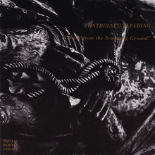Music From The Scourging Ground (Reissued 1989)