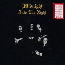 Into The Night (Vinyl)