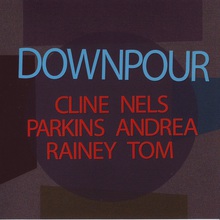 Downpour (With Andrea Parkins & Tom Rainey)