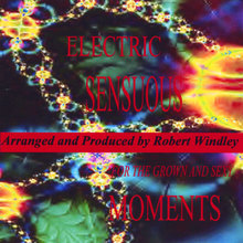 Electric Sensuous Moments