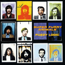 Fuzzy Logic (20Th Anniversary Reissue) CD1