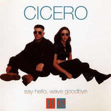 Say Hello, Wave Goodbye (CDS)