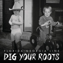Dig Your Roots (CDS)