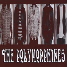 The Polymorphines
