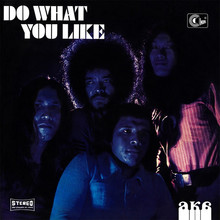 Do What You Like (Vinyl)