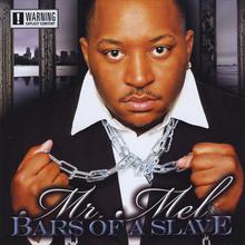Bars Of A Slave