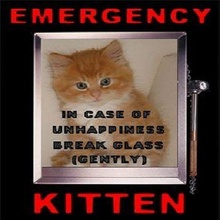 In Case Of Emergency (CDS)