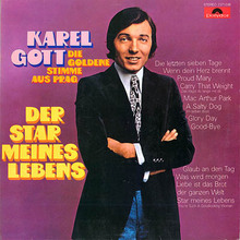 Der Star Meines Lebens (Vinyl)