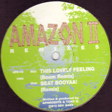 Beat Booyaa / This Lovely Feeling (Remixes) (VLS)