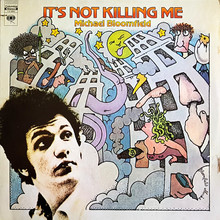 It's Not Killing Me (Vinyl)