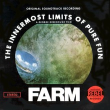 The Innermost Limits Of Pure Fun (Vinyl)